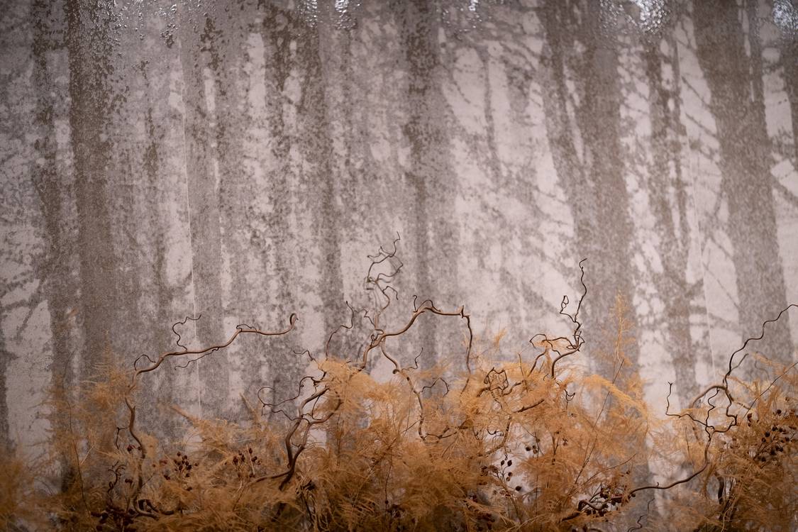 Imagen de ambiente , realizada con baldosas de la colección: YLICO – BROWN