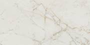 Preview image of the article CALACATTA DELICATO size 60x120 from the ROMA GOLD collection.