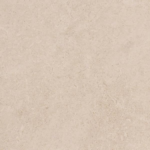 Color preview image: TORTORA