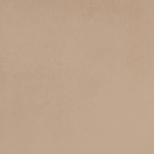 Color preview image: TORTORA