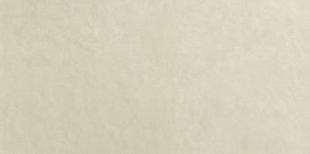 Imagen de vista previa del artículo BEIGE tamaño 80x160 de la colección BLOOM