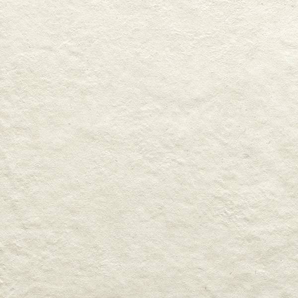 Imagen de vista previa del color: LIGHT