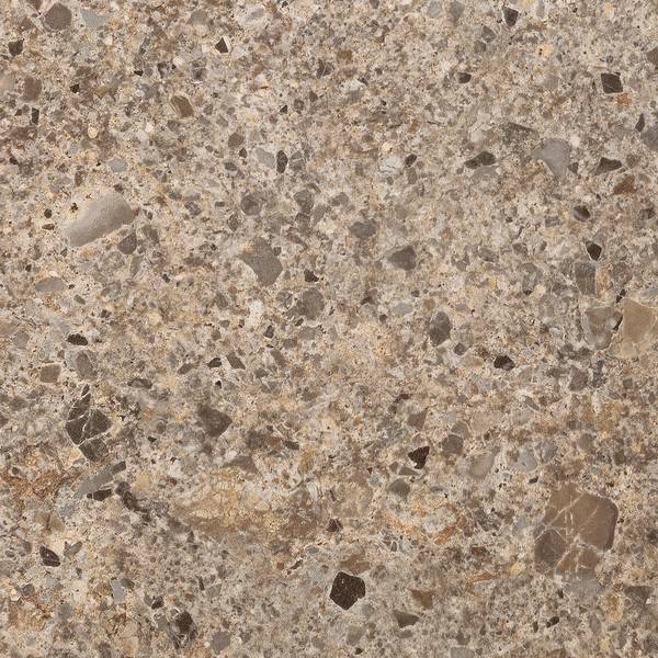 Imagen de vista previa del color: TORTORA