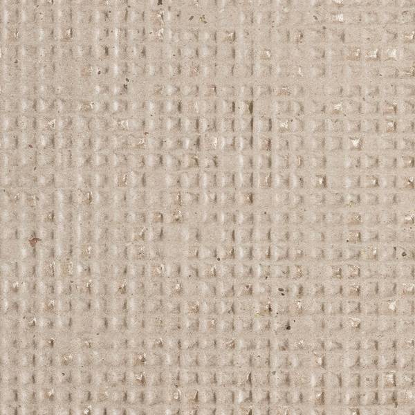 Imagen de vista previa del color: MICRO TORTORA