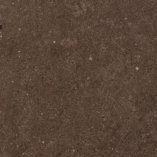 Imagen de vista previa del color: TERRA