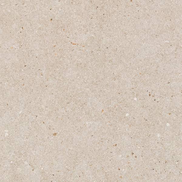 Imagen de vista previa del color: TORTORA