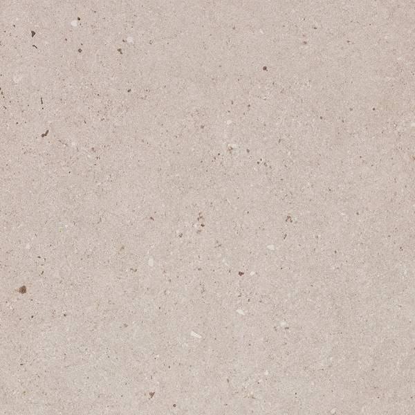 Imagen de vista previa del color: TORTORA