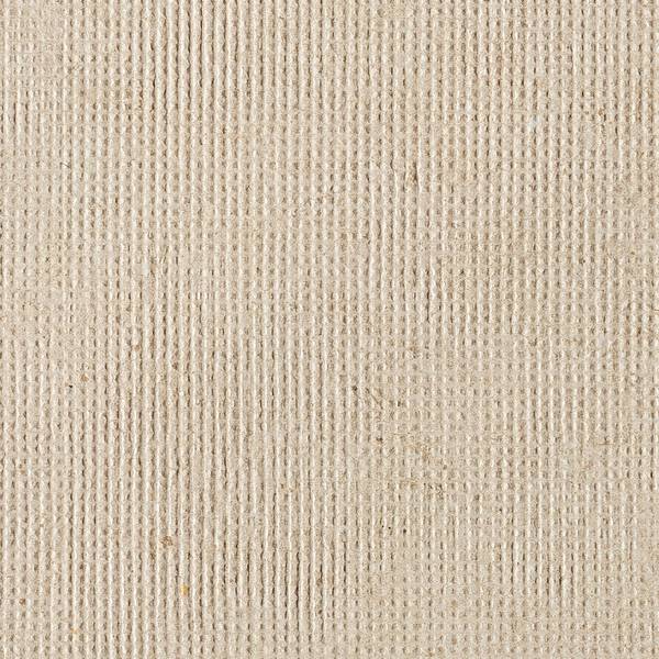 Imagen de vista previa del color: TRAMA BEIGE