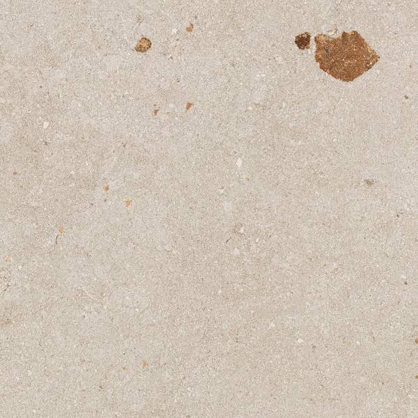 Imagen de vista previa del color: SASSI TORTORA