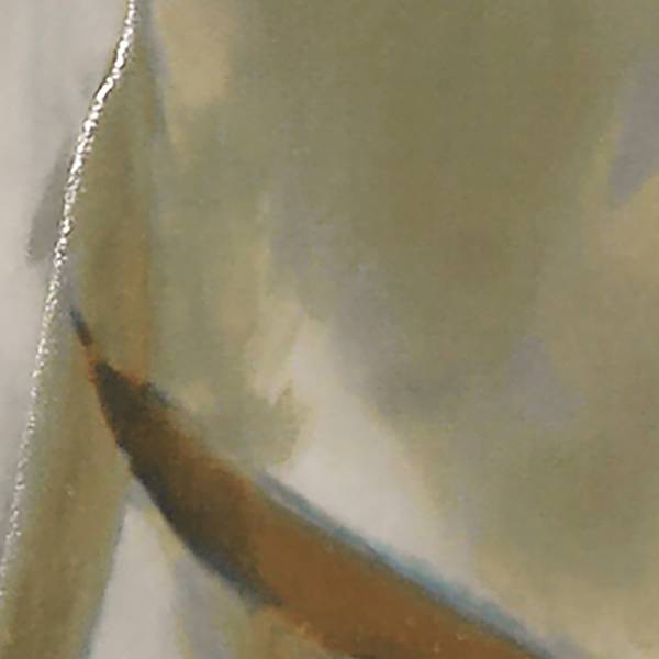 Imagen de vista previa del color: FLOWER FALLS