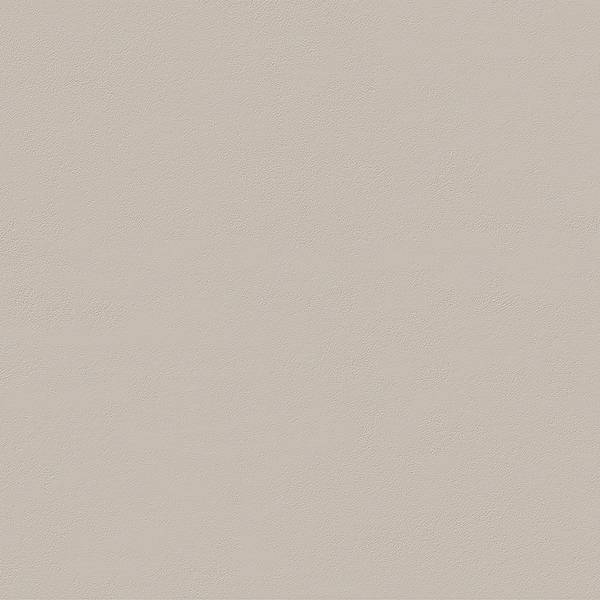 Imagen de vista previa del color: FOSSIL