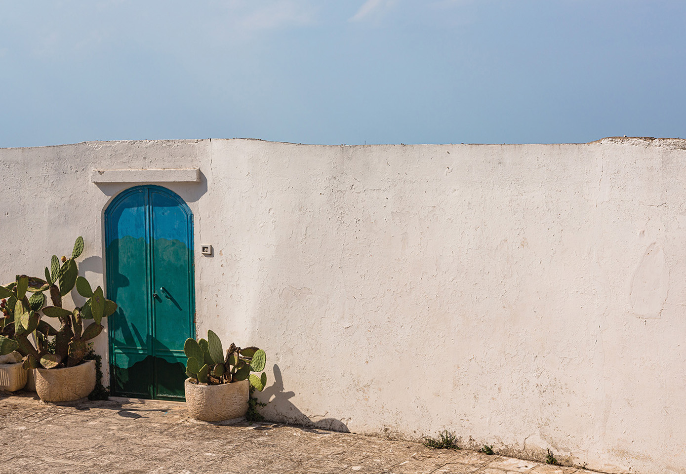 White plaster-effect textured wall with blue door and cactus pots, Mediterranean inspiration and southern colours.