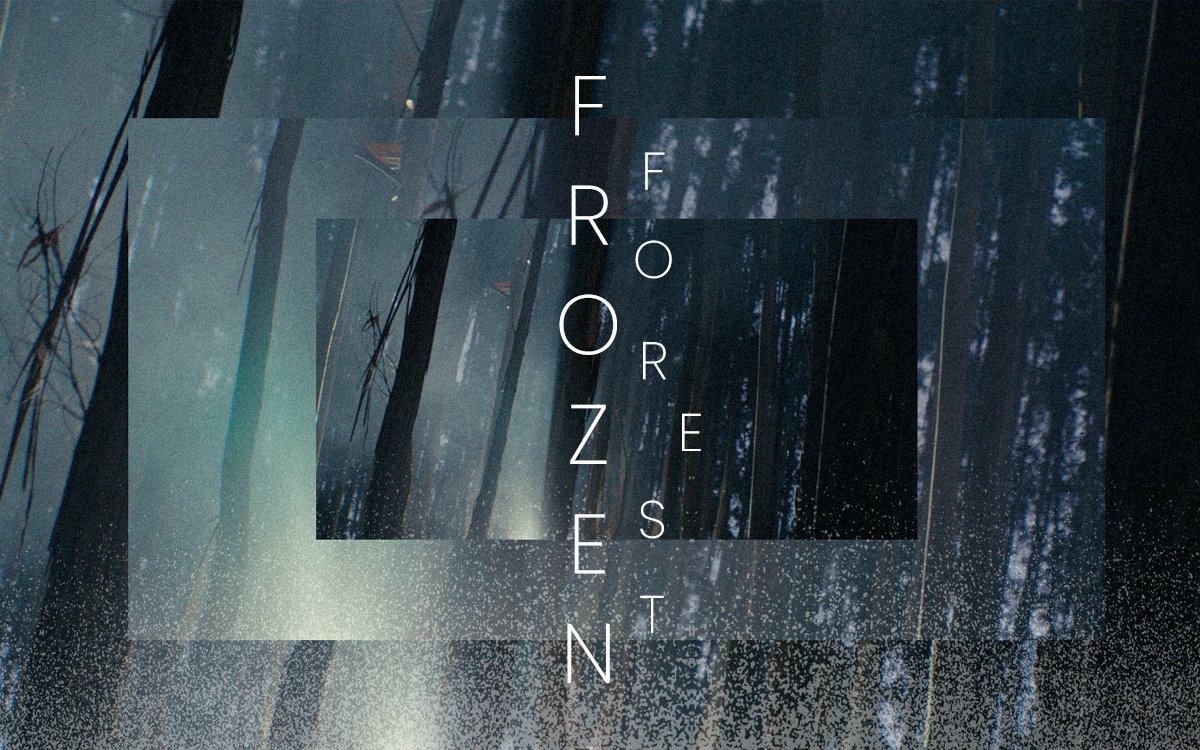 Artistic graphics with overlapping trees and the text ‘Frozen Forest’ in cool blue and grey tones with a muted effect.