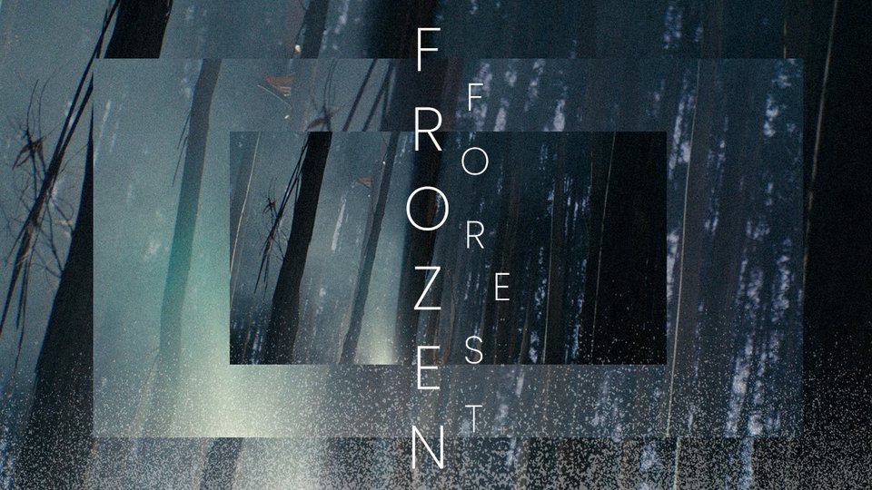 Artistic graphics with overlapping trees and the text ‘Frozen Forest’ in cool blue and grey tones with a muted effect.
