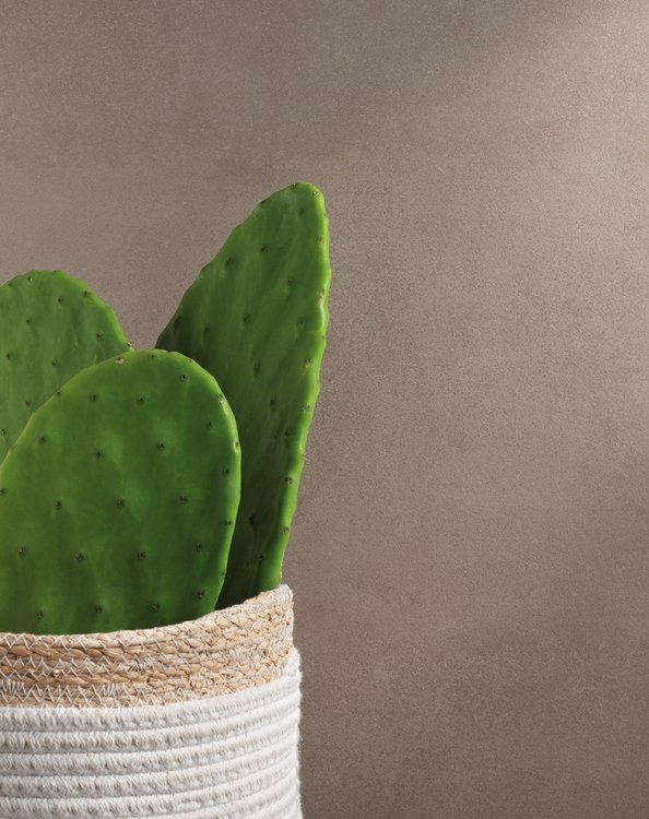 Imagen de ambiente , realizada con baldosas de la colección: SUMMER – BROWN