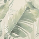 Preview image of the article TROPICAL JUNGLE size 30.5x91.5 from the DECO&MORE collection.
